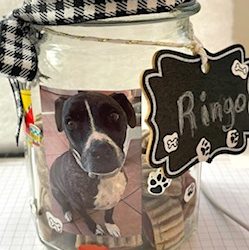 Christmas Fair Day 10–Pet Treat Jar and Treat Recipe