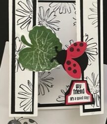 Hello Lady Bug Pop-Up Bridge Card