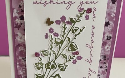 Wishing You an Amazing Day Birthday Card